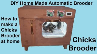 How to make a Chicks Brooder  DIY Home Made Automatic Brooder  Design a Brooder at home [upl. by Oletha562]