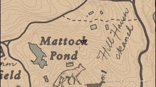 free 20 in Mattock Pond  RDR2 [upl. by Flodnar]