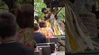 Fiji at Polynesian Cultural Center Hawaii [upl. by Eirahs]