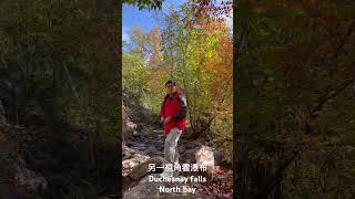 Duchesnay falls 另一視角fall nature relaxingmusic [upl. by Bunting]