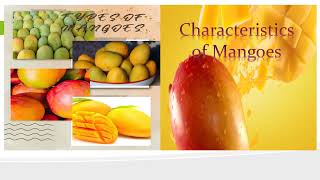 Types of Mangoes and its characteristic II Marife Adonis Official [upl. by Inad]