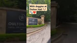 Oulton Hall Leeds with Dogs 🐶🐾❤️ shorts [upl. by Riffle]