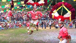 DANZANTES DE OAXACA LLEGAN A URAPICHO MICHOACAN ¡¡ [upl. by Ayaros671]