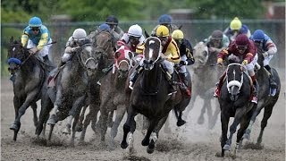 2009 Preakness Stakes [upl. by Bjorn775]