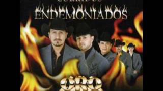 Oro Norteno Una Llamadawmv [upl. by Erbe]