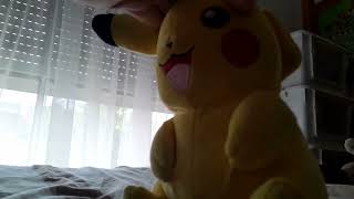 plush pokermon Carlton man pikachu vs duke kaboom piplup [upl. by Naor974]