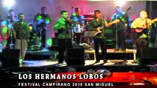 Los Hermanos Lobos  Mix de cumbias [upl. by Mide]