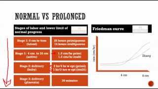 obstetrics 6 Normal labor  stages presentation position note writing [upl. by Iddet172]