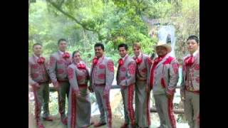 mariachi las tequileras [upl. by Robet762]