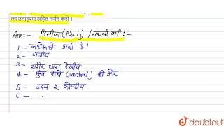 महावर्ग मत्स्य  Superclass  Pisces  के लक्षण बताइए । इसे कितने वर्गों में बाटा गया है  प् [upl. by Iorgo]