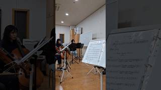 감기 몸살 환자의 기침 참고 플룻 불기  Vivaldi Gloria VI Domine Deus [upl. by Ynnub525]