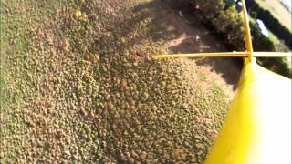 Wedge Tailed Eagle attacking RC Glider [upl. by Mossolb619]