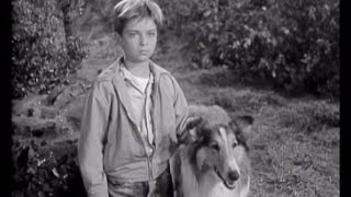 Lassie  Episode 17  quotThe Runawaysquot Originally broadcast 01021955 [upl. by Bbor]