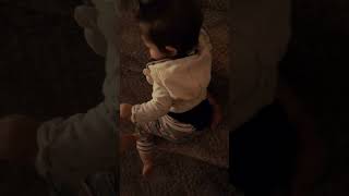 101623 11mo old crawls down steps [upl. by Eioj57]