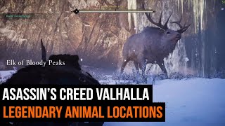 All 9 Assassins Creed Valhalla Legendary Animal locations [upl. by Einalem192]