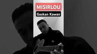 Misirlou cover akustikgitar guitar music shorts guitarcover [upl. by Cressy356]