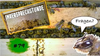 Imkersprechstunde 79  Ihr habt Fragen zu den Bienen  Wir geben Antworten 12112024 [upl. by Siramed423]