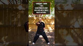 QiGong  8 Brocades 7 of 8 martialarts kungfu shaolin danielmattson qigong [upl. by Klapp]