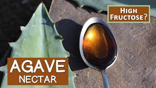 Agave Nectar Is It Like High Fructose Corn Syrup [upl. by Grubman965]