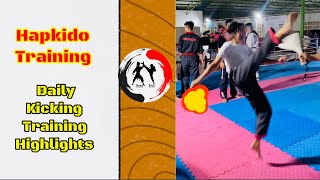 Daily Kick Training  Hapkido Training kicking kicks hapkido [upl. by Brod]