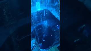 The Deepest Pool on the World😱 [upl. by Eolande]