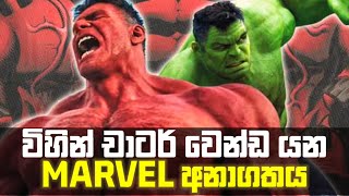 කරන්ඩ තියෙන ඔක්කොම කරලා තියෙන්නේ දැන් මේකට  Hulk will be in The Captain America Brave New World [upl. by Costin116]