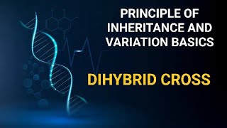 Principle of inheritance and variation dihybrid cross ncert biology NEET by PRAKHAR TRIPATHI [upl. by Charyl]