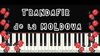 TRANDAFIR de la MOLDOVA Tutorial PIAN  Tempo Normal [upl. by Beverle]