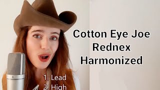 Cotton eye Joe  Rednex  Harmonized • Miekes Voice [upl. by Fishbein739]