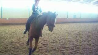 HandicapReiten Individual Championship Test Grade IV 20mx40m am 27012012 [upl. by Trygve850]