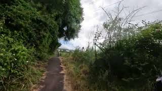 Cycle 601 240622 0934 Cycle Path River Colne [upl. by Anujra]