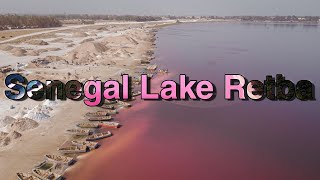 Why Senegals Lake Retba Has Lost Its Rosy Colour This Summer Pink Lake  pinklake [upl. by Yendor]