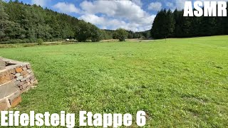 Eifelsteig Etappe 6  Natur pur  Fernwanderweg in der Eifel  longdistance hiking trail  ASMR [upl. by Yesmar613]