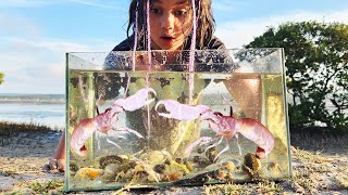 Making A Beach Aquarium With Salt Water Yabbies With Zoe [upl. by Rorie]