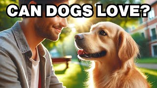 Can Dogs Feel Love Explained [upl. by Swen]