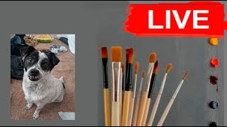 Live Session  Pet portrait  Ban ban [upl. by Ahsercel]