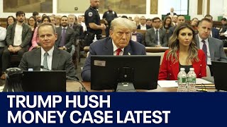 Donald Trump NY judge delays sentencing [upl. by Geri]