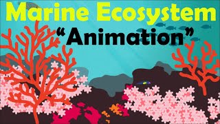 MARINE ECOSYSTEM  Biology Animation [upl. by Endora727]