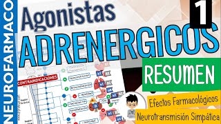 SIMPATICOMIMÉTICOS RESUMEN CLASIFICACIÓN Sinapsis Adrenérgica Receptores adrenérgicos PARTE 1 [upl. by Adlemi]