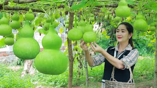 Cute bottle gourd recipe for dinner in my homeland  Have you ever eat this gourd in your country [upl. by Merrile587]