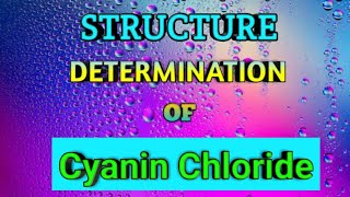 Structure Elucidation of Cyanin Chloride  Synthesis of Cyanidin Chloride [upl. by Ahsienel279]