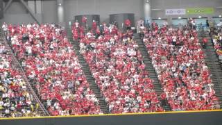 Hiroshima Toyo Carp baseball fans [upl. by Emmalynn]