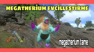 MEGATHERİUM EVCİLLEŞTİRME  Ark Survival Evolved Mobile Türkçe  Megatherium Tame [upl. by Vladimir]