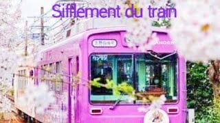 Le sifflement du train 🚆🚂🚂 [upl. by Iridis]