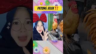 Funny Dubbing  Si Om NaNgis KaReNa PaTuNg Nya JeLeK ⁉️😳 [upl. by Nerred]