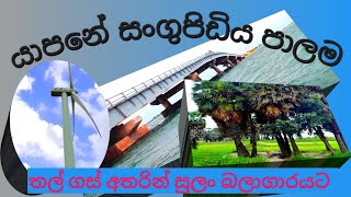 ලංකාවෙද මේහැමෝම නොදන්න සුන්දර සංගුපිඩිය [upl. by Ahsinrad]