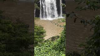 Cheapest hidden gem picnic spot at Thika town [upl. by Nikolos]