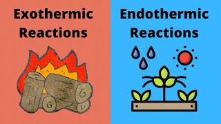 Science KS3  Endothermic and Exothermic Reactions [upl. by Redmund]