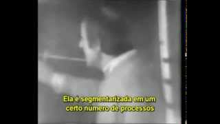 Gilles Deleuze quotDois regimes de signosquot legendas em português [upl. by Rue4]