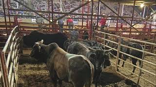 Bennie Beutler Talks MHM Products on the Rodeo Road [upl. by Merc649]